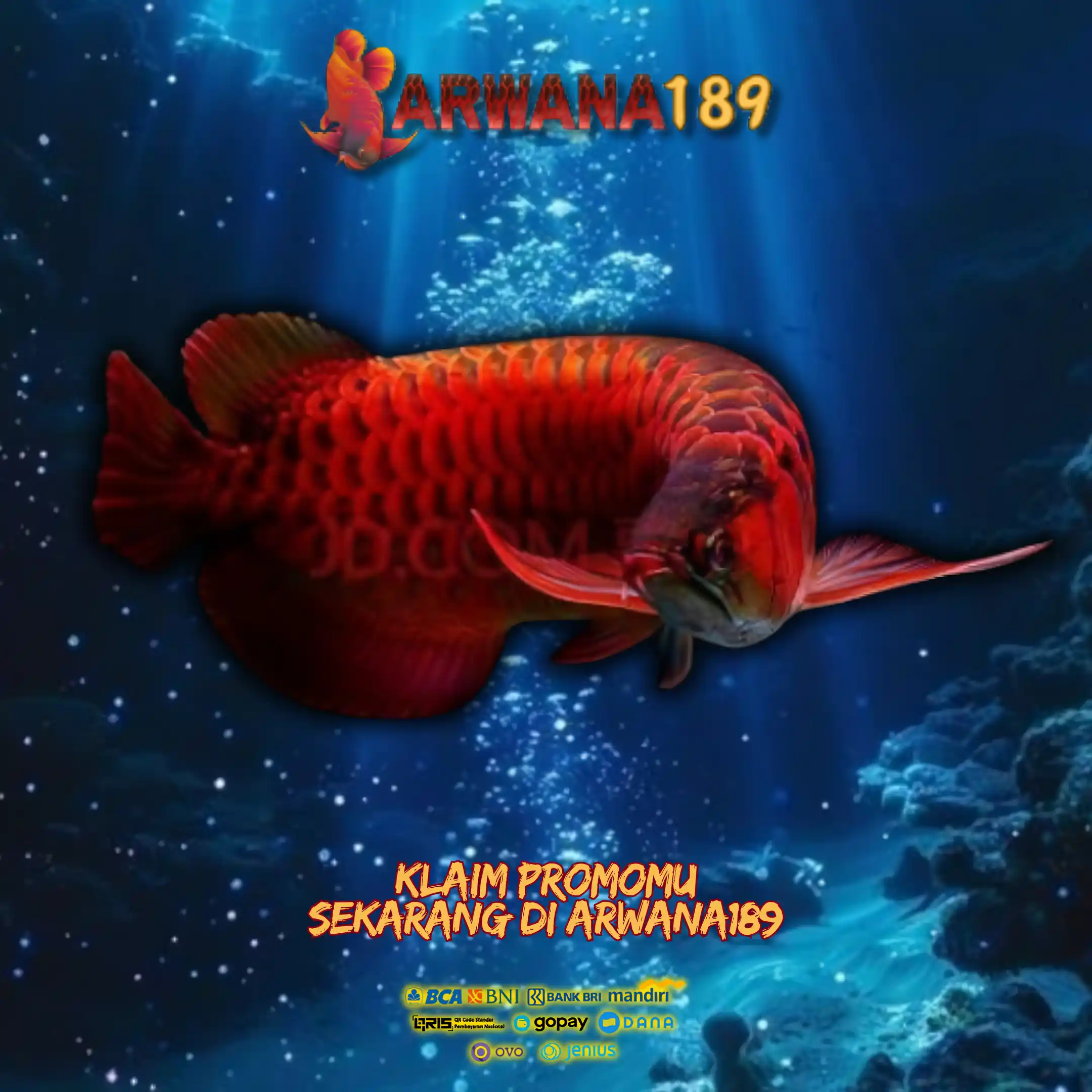 Arwana189: Promo Aktif, Hadiah Nyata!